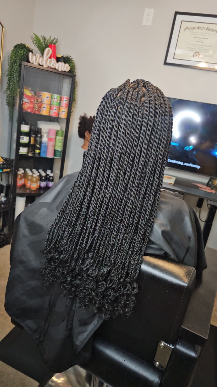 Protective braids